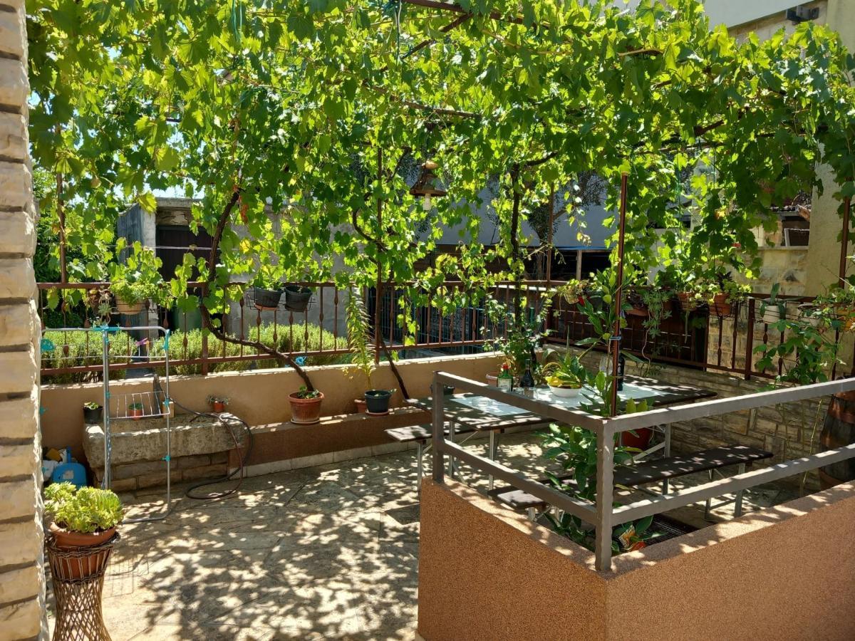 Apartman Oli Zadar Bagian luar foto