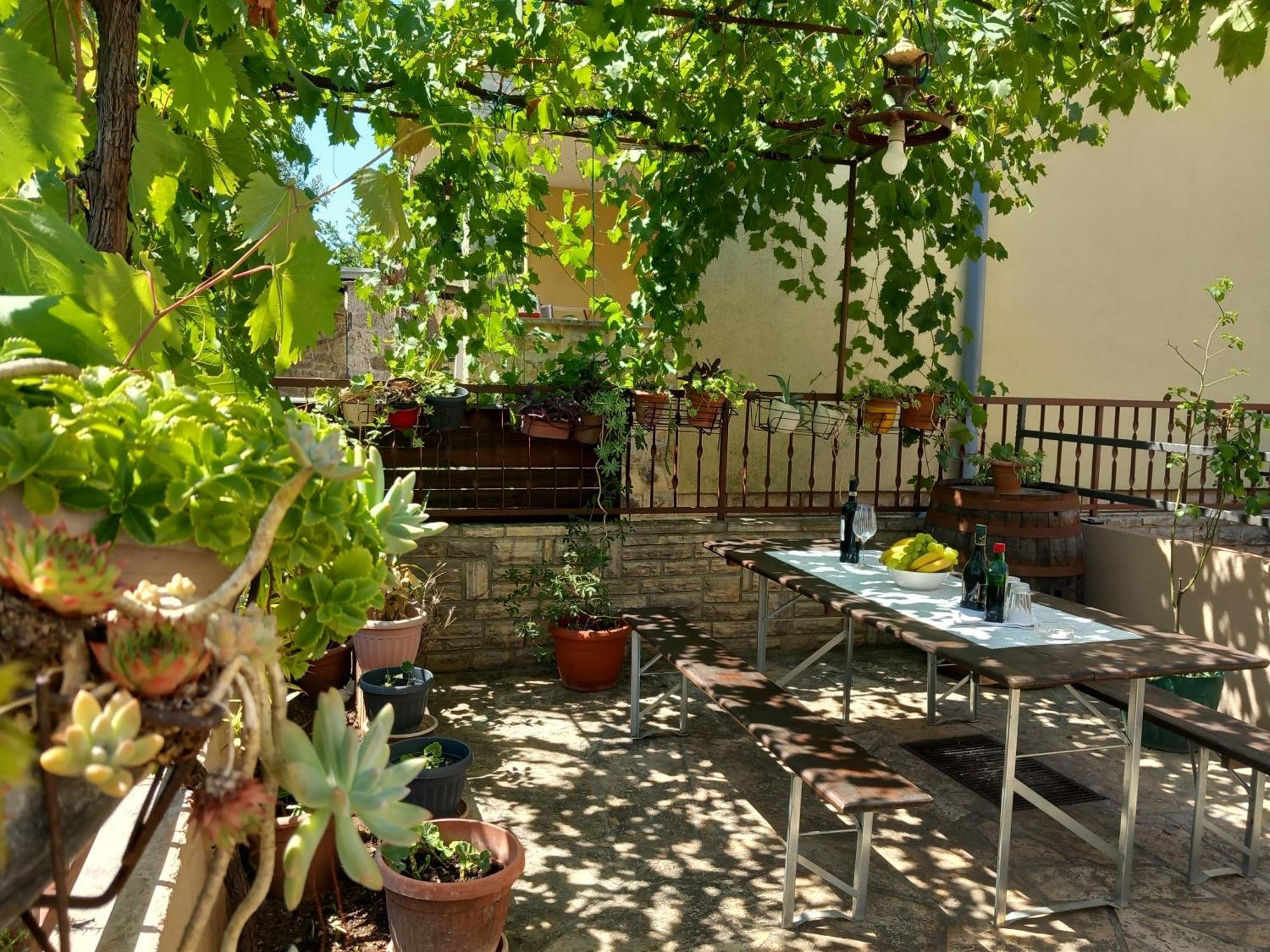 Apartman Oli Zadar Bagian luar foto