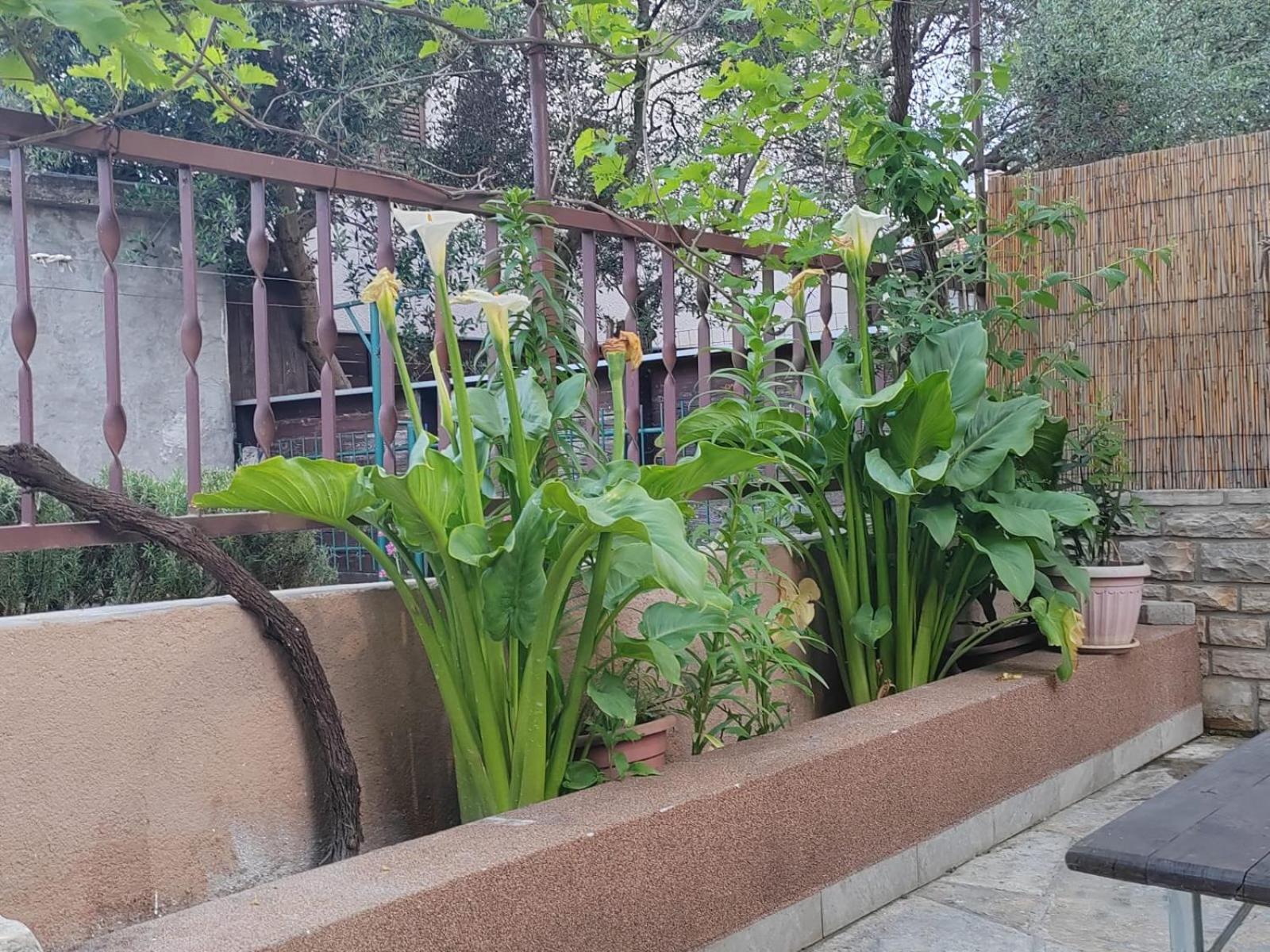Apartman Oli Zadar Bagian luar foto